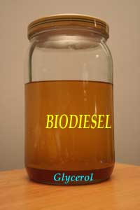 Jar of biodiesel