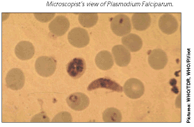 Plasmodium Falciparum (c)WHO