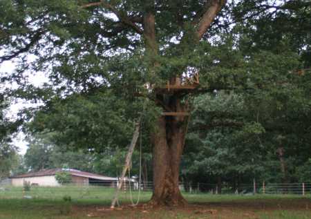 our treehouse