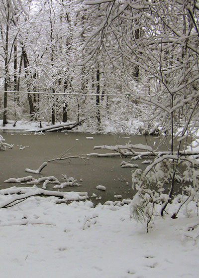 The Pond in the snow