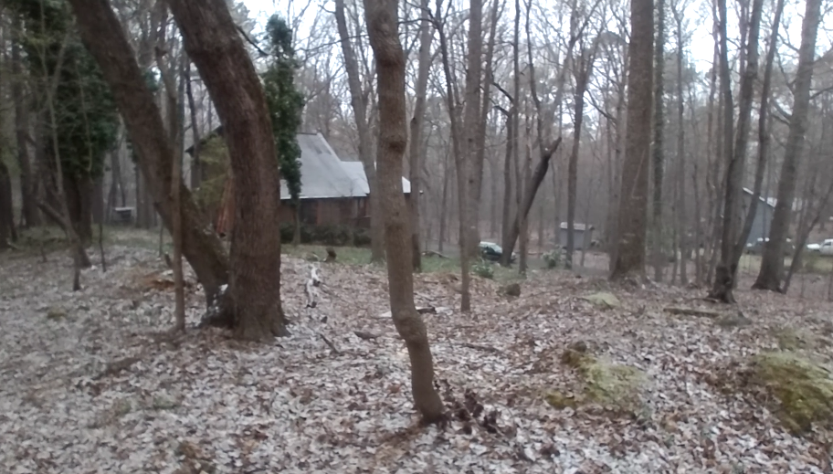 forest with house and a dusting of snow