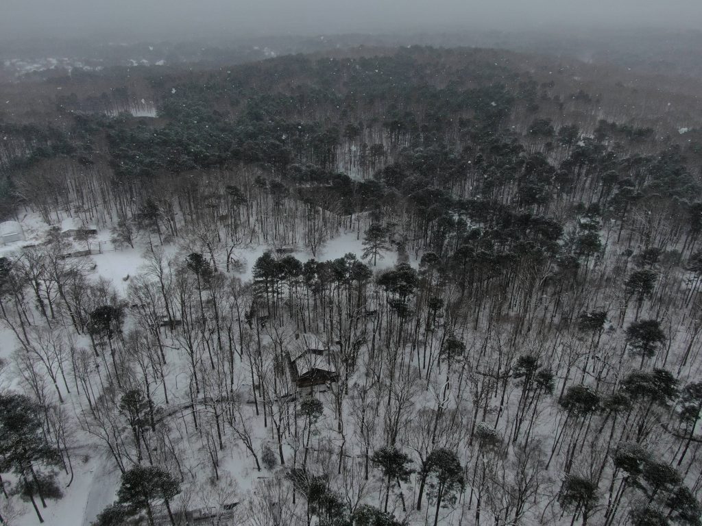 aerial photo of snowy forest landscape