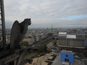 Notre Dame view 1