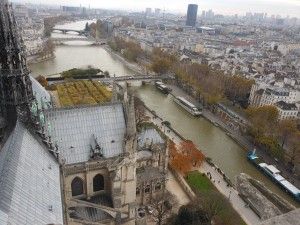 Notre Dame view 5