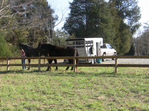 Cedarrock Park