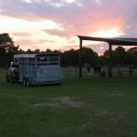 Wallie and Cleo at Chadbourne Farm