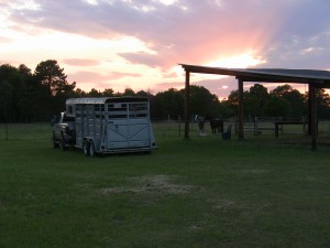 Wallie and Cleo at Chadbourne Farm