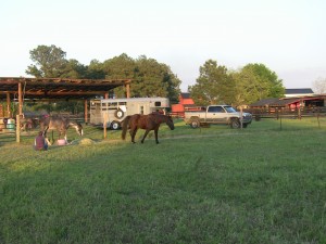 Wallie and Cleo at Chadbourne Farm