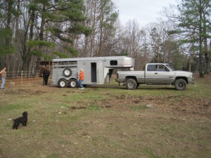 our first horse trailer