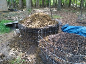 compost fall 2016