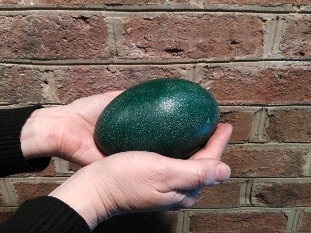 Emu egg