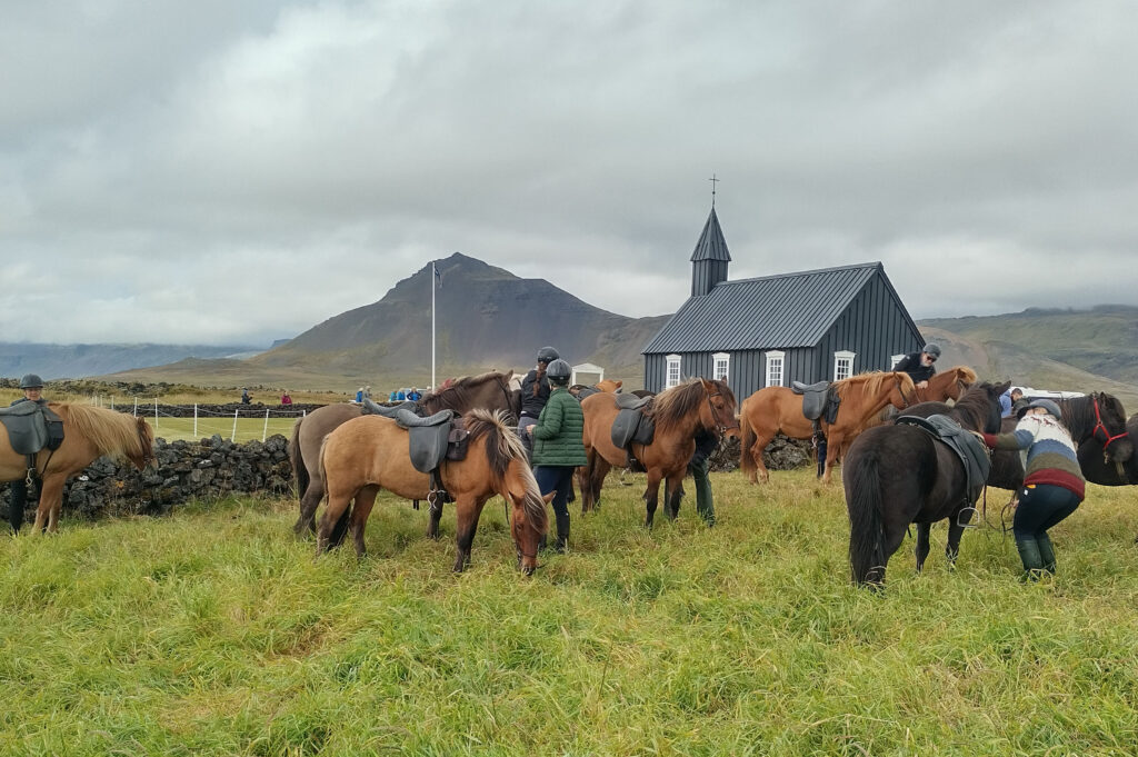 Horses and riders taking a break at the Búðir church