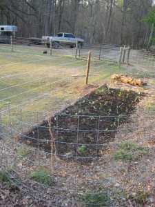 Our new garden