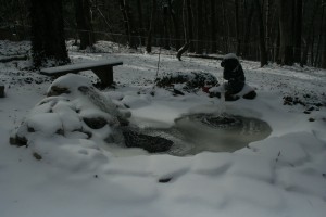 frozen pond 2
