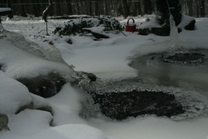 frozen pond