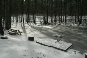 frozen pond and snow