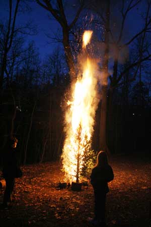 Burning our tree