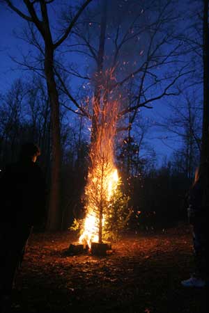 Burning our tree