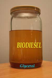 biodiesel in a jar